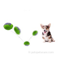 Catch Rugby Interactive Traning Dog Ball Agility Equipment